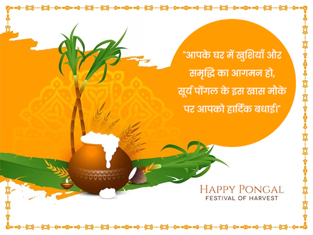 happy thai and suraya Pongal 