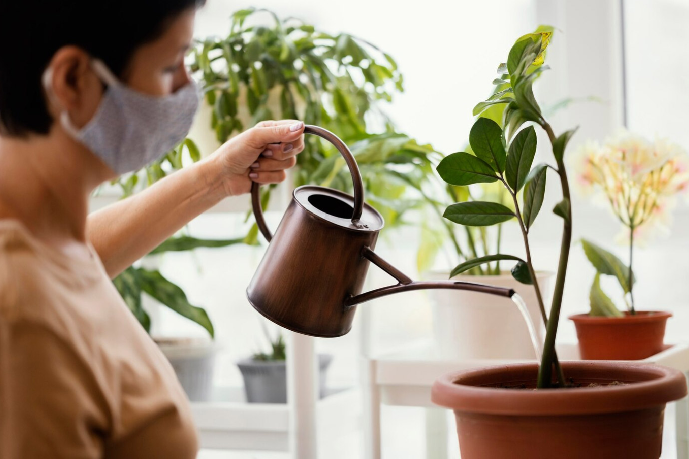 homemade fertilizers in hindi