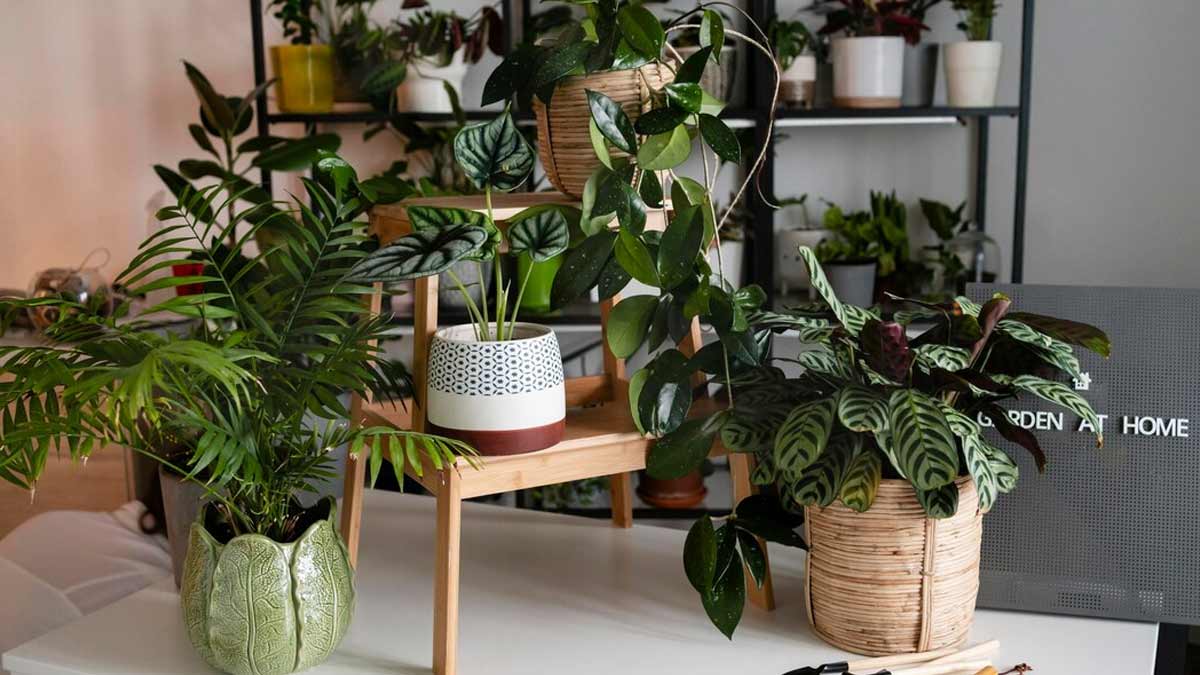 Glam Up Your Indoor Garden With These Decorative Planter Ideas