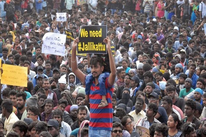 jallikattu protest in tamilnadu