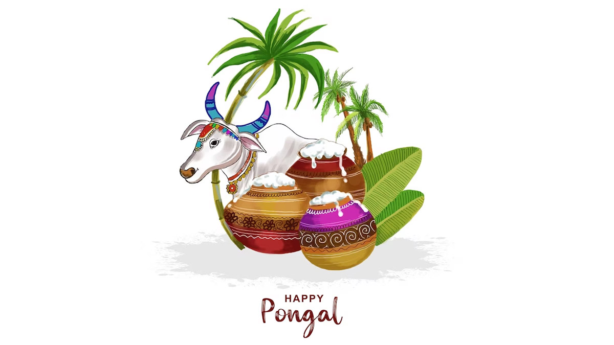 kaanum pongal festival drawing | how to draw pongal drawing simple - YouTube