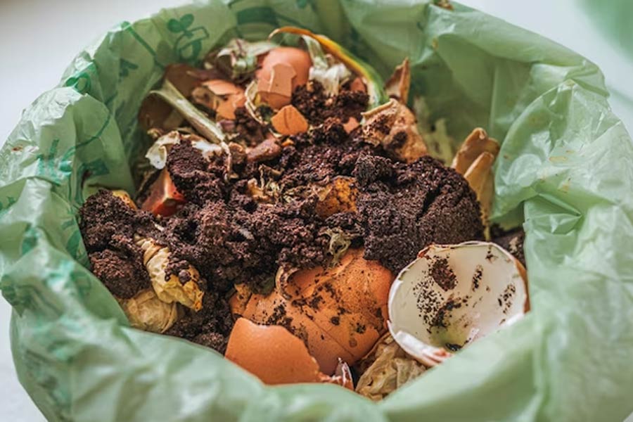 3   Kitchen Waste Compost Making Tips 