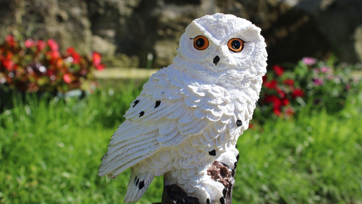 owl statue vastu