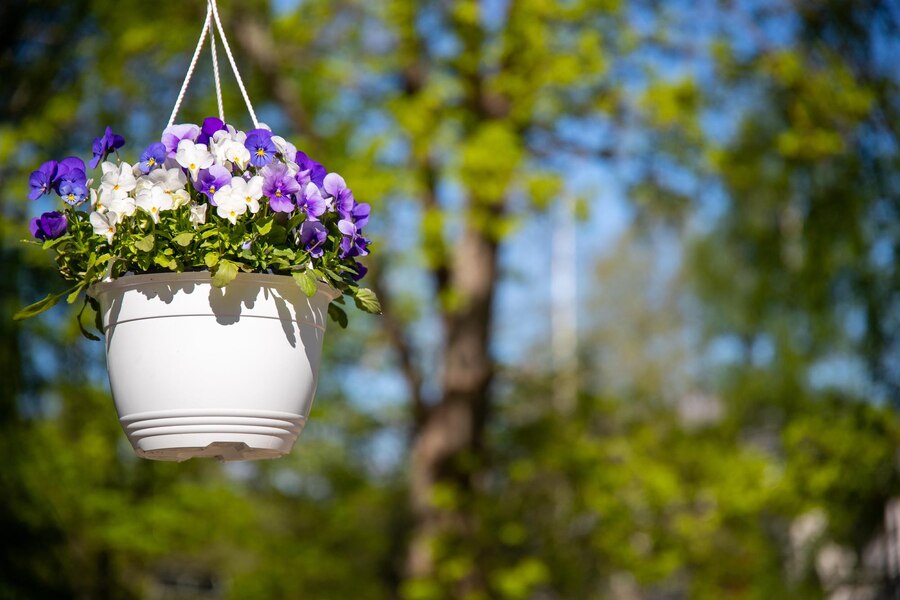 planter Hanging Basket