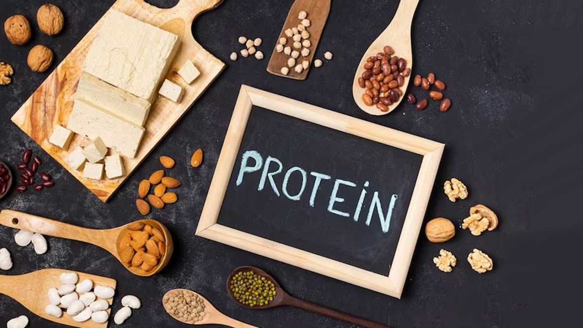 protein for belly fat