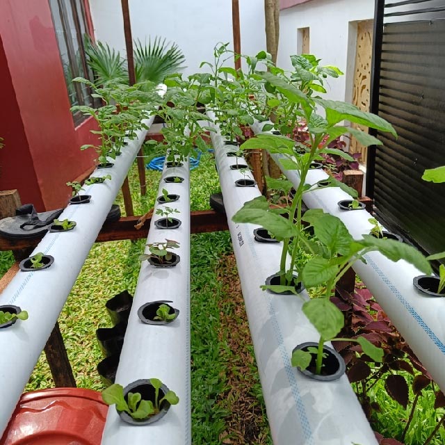 pvc pipe reuse in garden