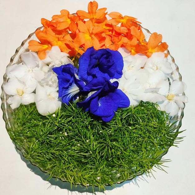 republic day easy rangoli designs 