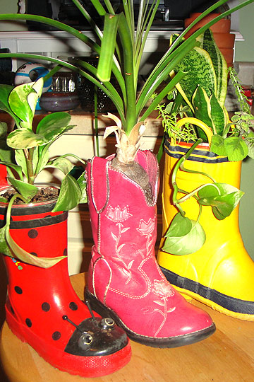 reuse old shoes card