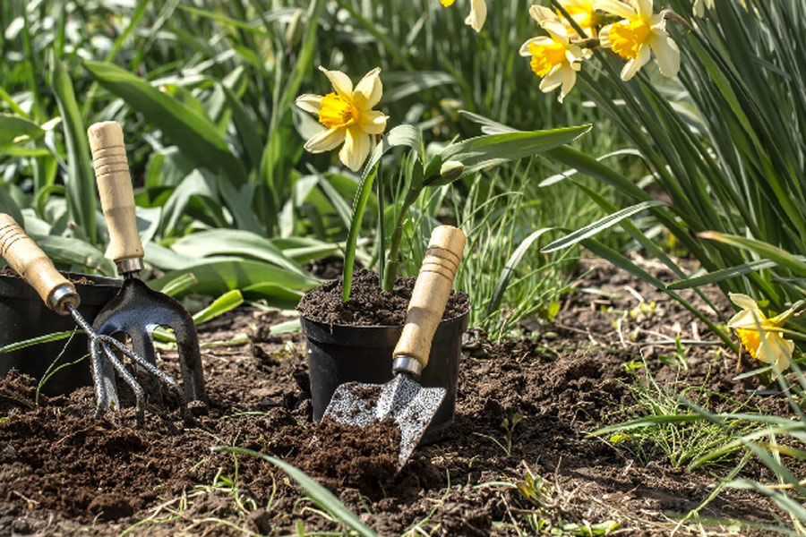 reuse used cooking oil