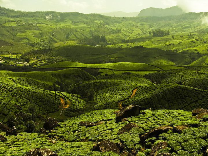 romantic getaway Munnar