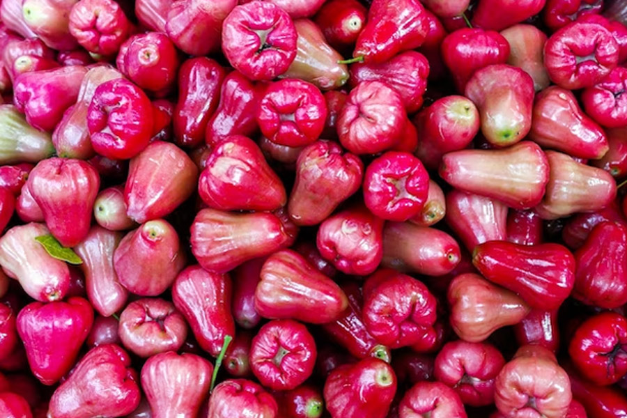 rose apple fruit,
