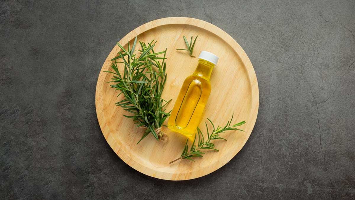 Rosemary oil for Hair : முடி வளர்ச்சிக்கு ரோஸ்மேரி எண்ணெய்யை எப்படி பயன்படுத்தலாம்