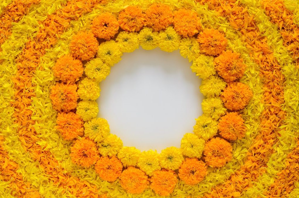 sun shaped rangoli design