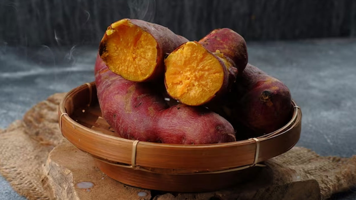 Side effects of sweet potatoes: फायदे के लिए खा रहे हैं शकरकंद तो इसके  नुकसान भी जान लें | side effects of sweet potatoes sweet potatoes cause  problems sweet potatoes cause allergic