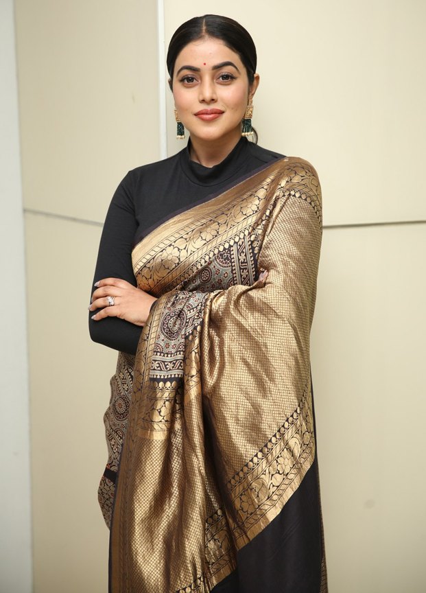 turtle neck top with saree