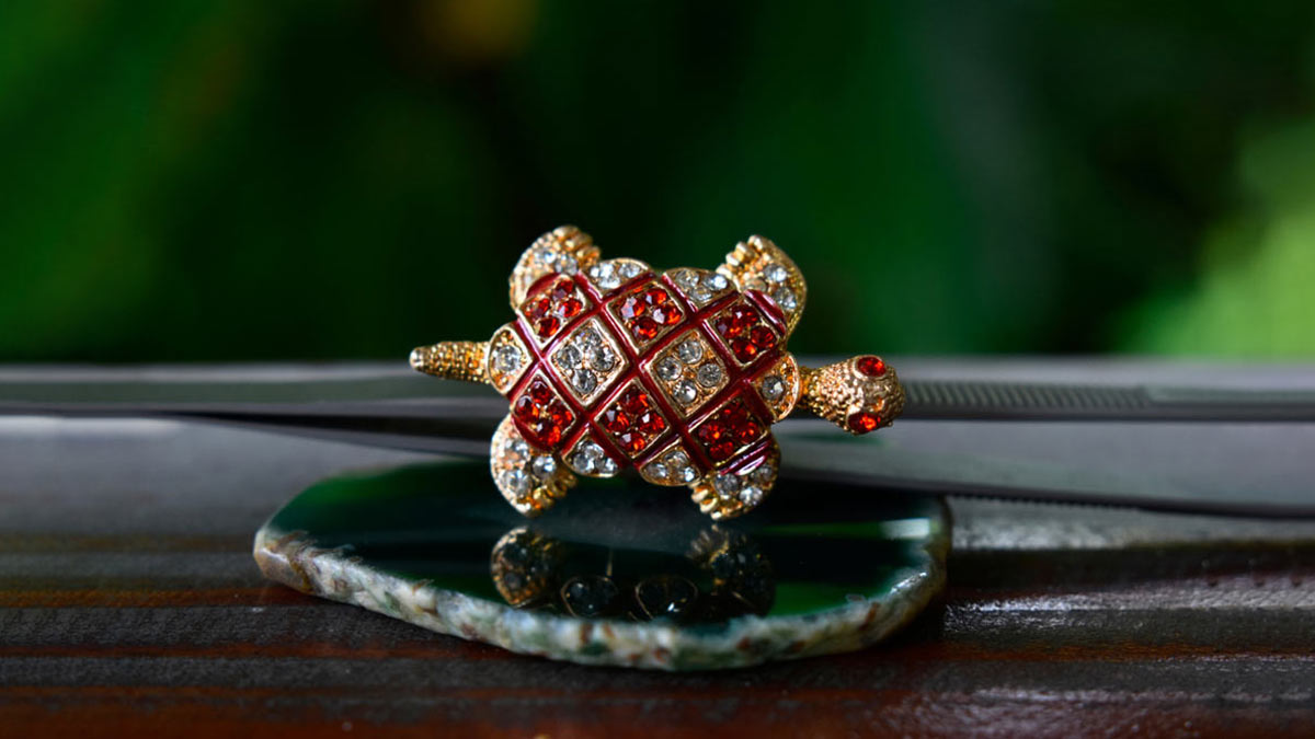 People of these zodiac signs should not wear a turtle ring-m.khaskhabar.com
