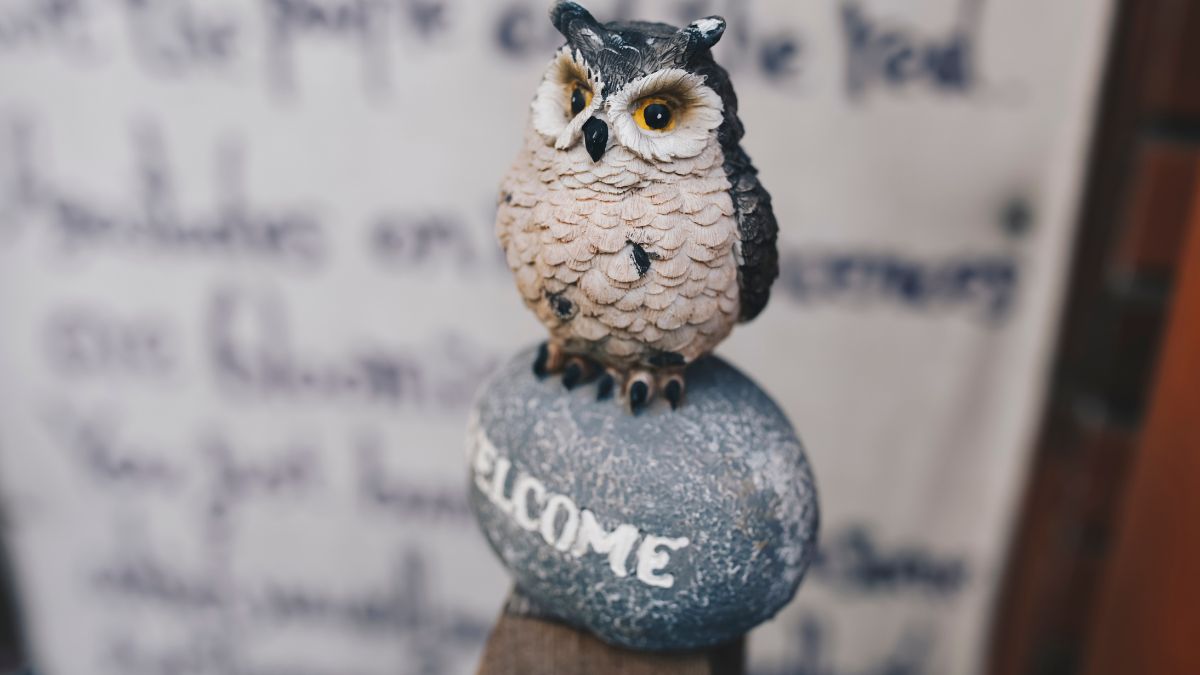 vastu for owl statue