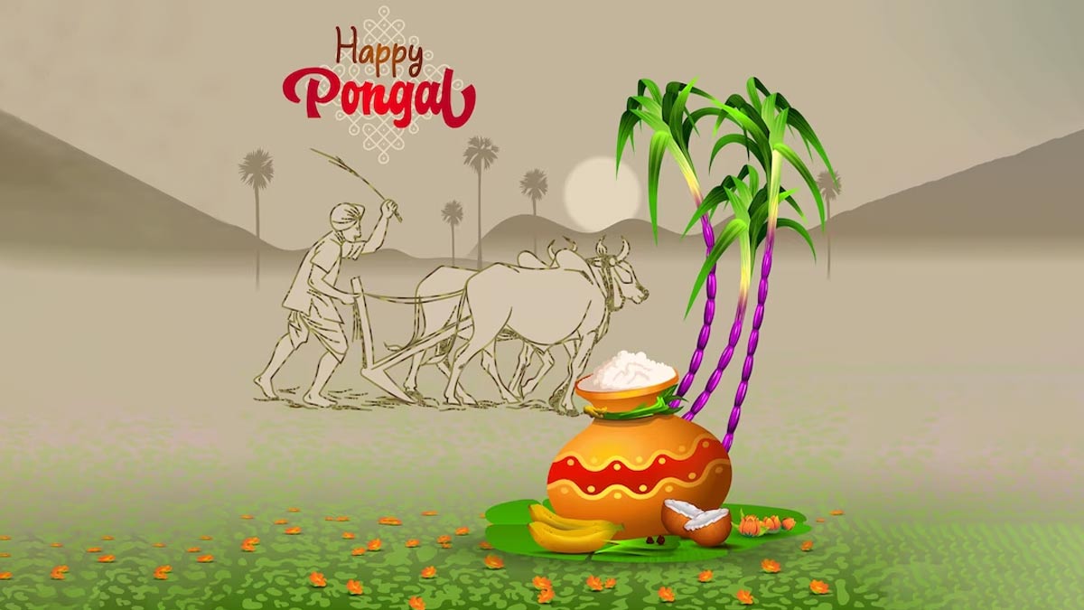 Happy Kaanum Pongal 2024 Wishes & Quotes in Hindi कानुम पोंगल पर इस