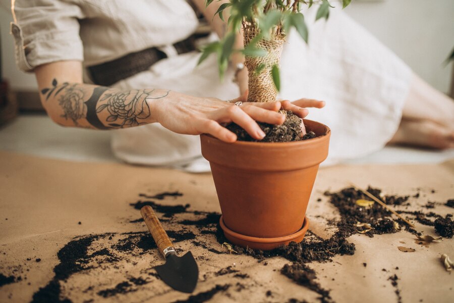 young woman cultivating plants home  