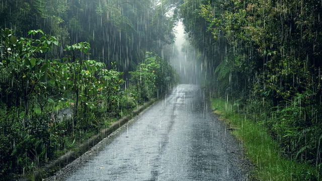 Acid Rain Disadvantage