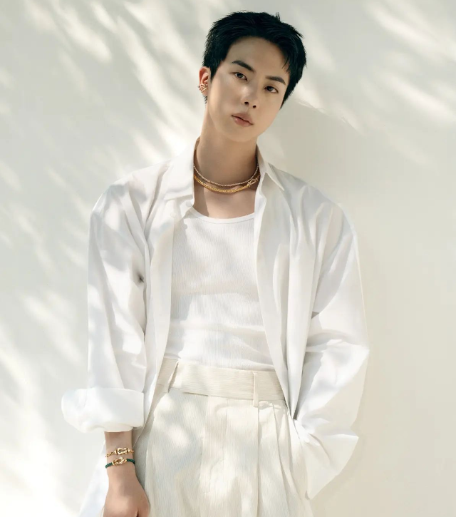 BTS Jin