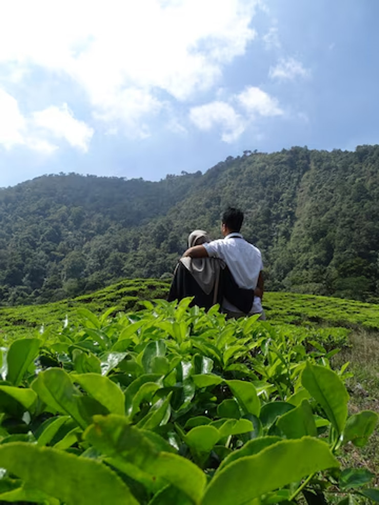 Happy Valley Tea Estate