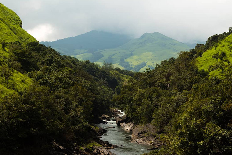 Kudremukh National Park: सैलानियों के लिए बेहद खास है कुद्रेमुख नेशनल ...