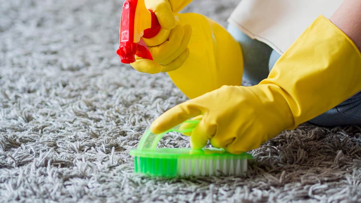 How to remove odors from carpet naturally during monsoon