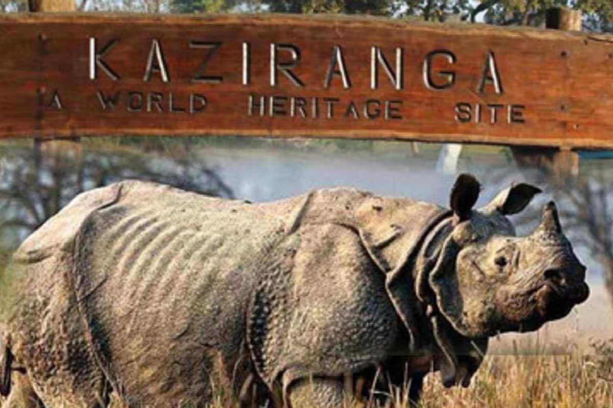 Kaziranga National Park