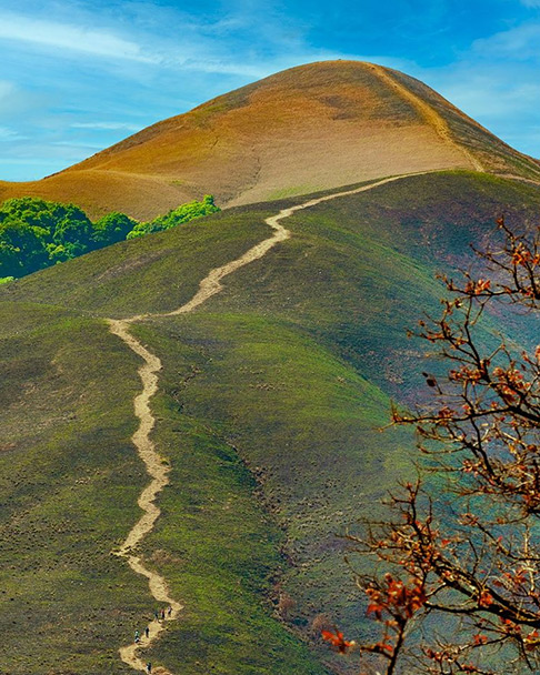 Kudremukh National Park: सैलानियों के लिए बेहद खास है कुद्रेमुख नेशनल ...