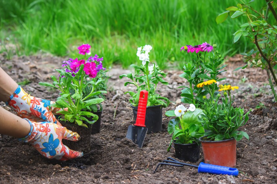 Monsoon Flower Gardening
