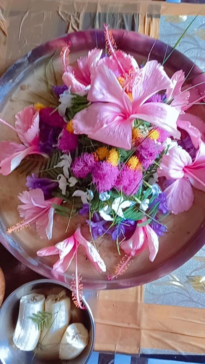 Parthiv Shivling benefits