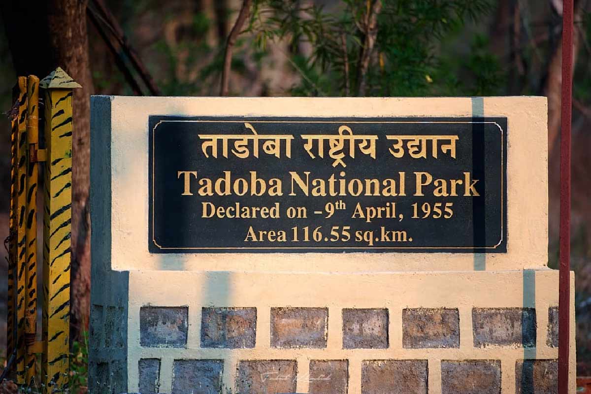Tadoba Andhari National Park