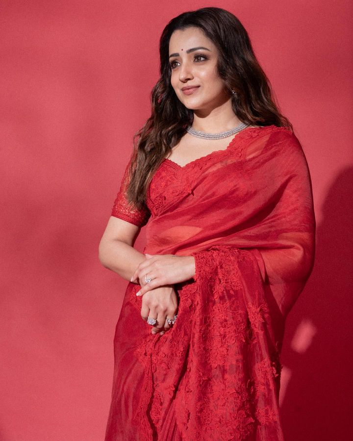 Trisha Krishnan’s Embroidered Blouse