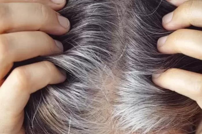 bhringraj oil benefits for women hair 