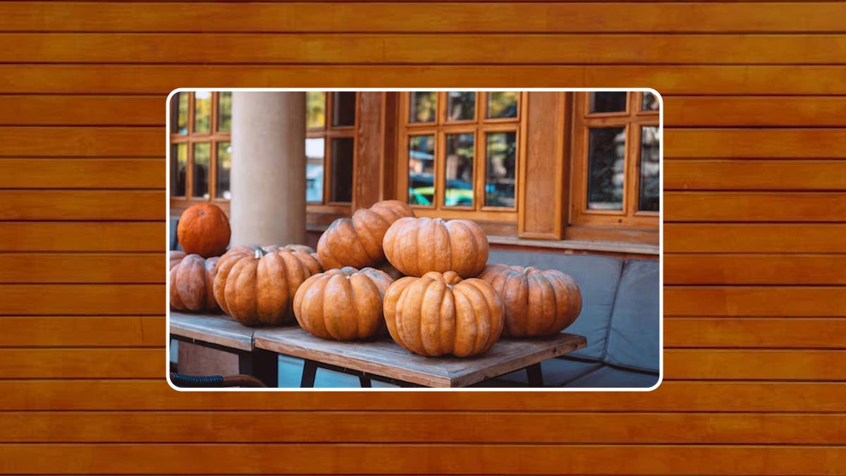 how to cook fairy pumpkin