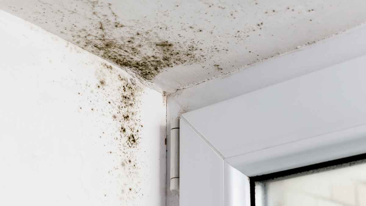 how to detect moisture in your home