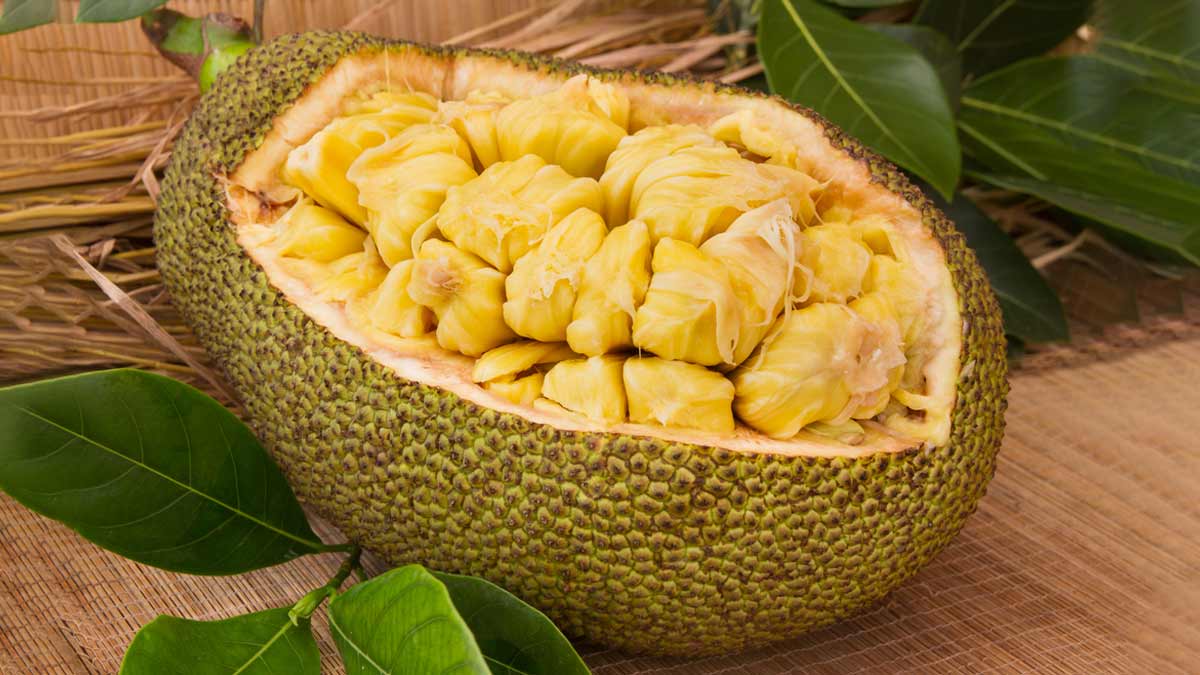 कटहल की सब्जी हो जाती है मीठी तो ये हैक्स आएंगे आपके बहुत काम | how to  reduce sweetness jackfruit sabji | HerZindagi