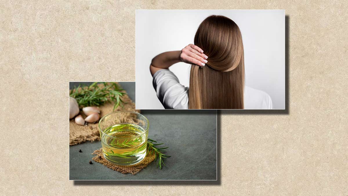 Benefits Of Rosemary Water For Hair Growth And Vitality Herzindagi 9215