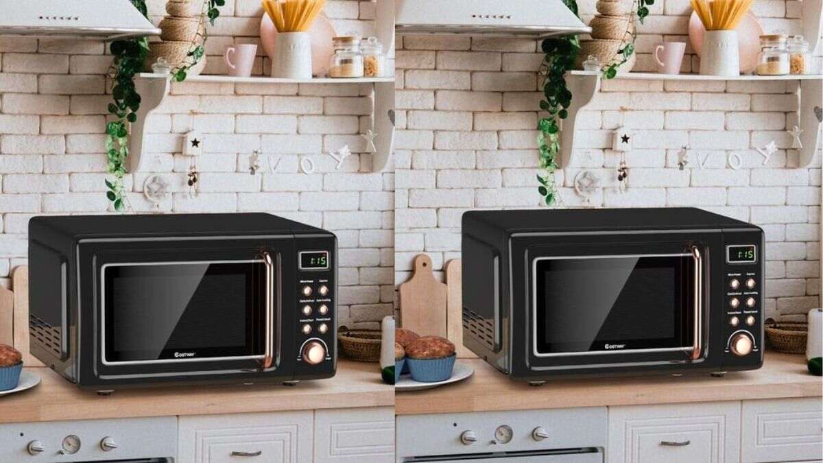 5 Best Solo Microwave Ovens (July 2024): Top Selected Brands For Efficient  Cooking | HerZindagi