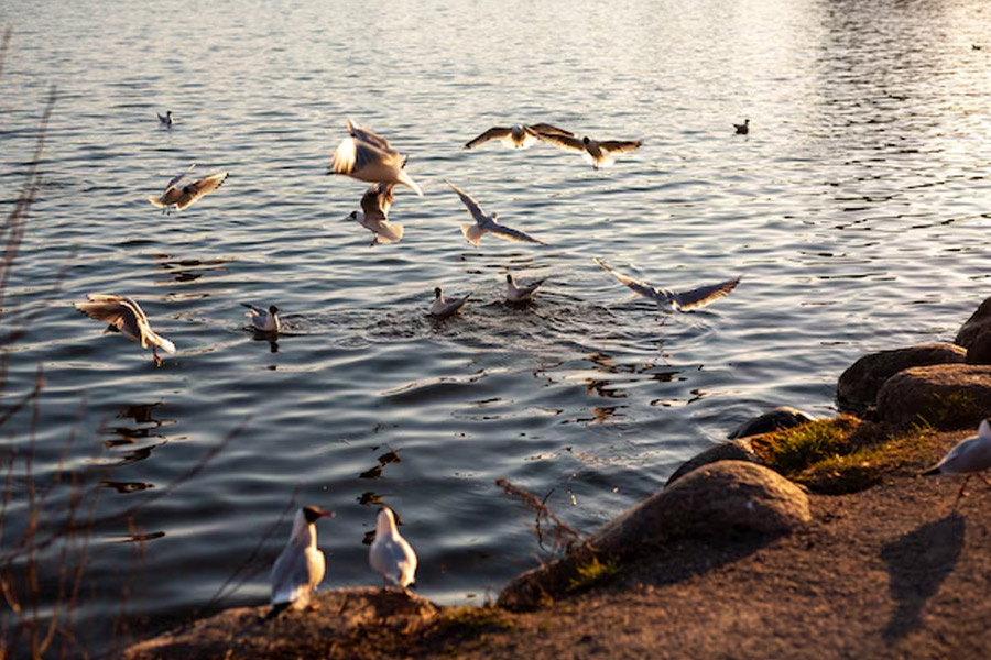 must visit these  hidden places in haridwar