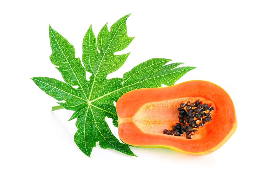 papaya leaves