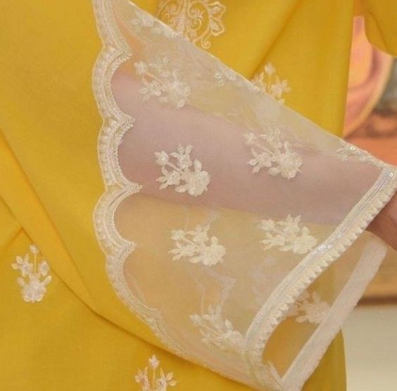 punjabi suit mohri design mesh