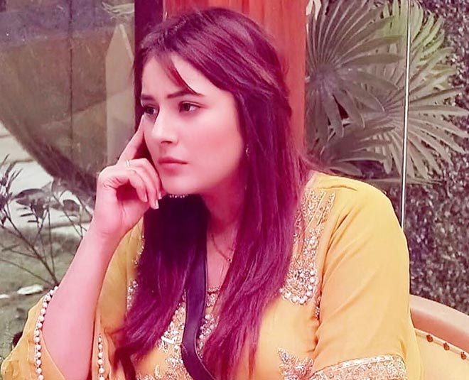 shehnaz gill bigg boss  Main