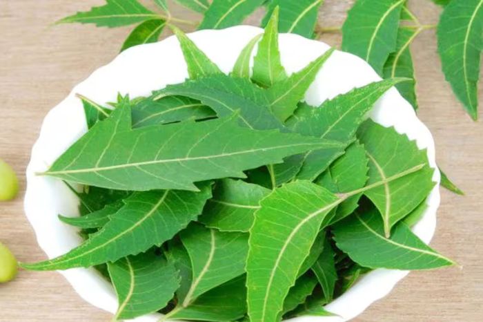 use these special five leaves for glowing face 