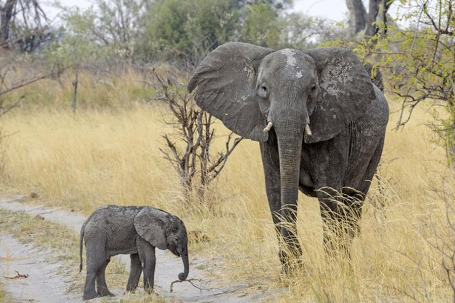 visit these  hidden places in haridwar