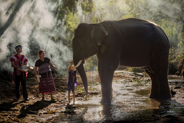 wildlife sos s to visit with kids in agra on  august 