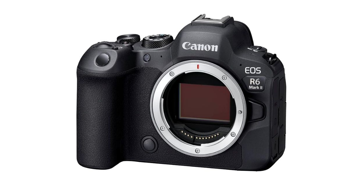 Best DSLR Camera For Professional Photography (June 2024) Choose From