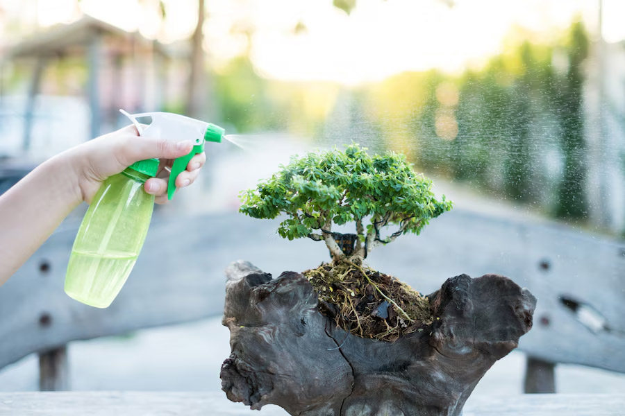 Basic Care Requirements