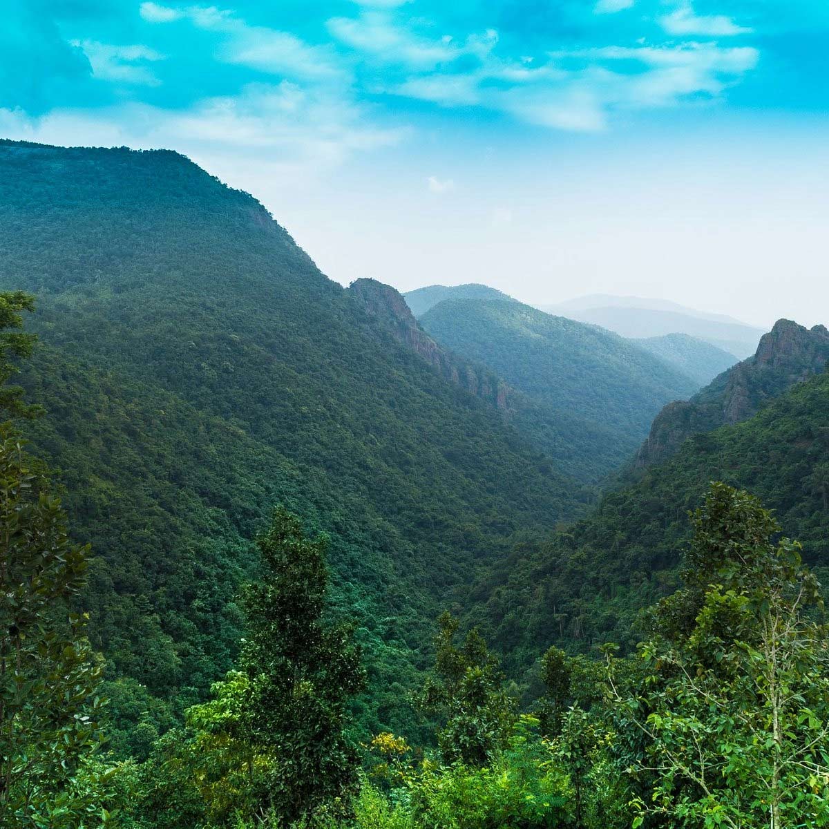 History of Daringbadi Hill Station